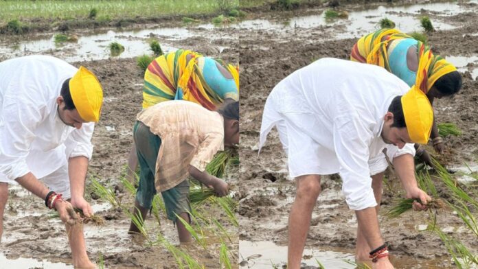 IMG-20250802-WA0005 Tej Pratap का देहाती अवतार: भोजपुर में किसानों संग की धान रोपनी